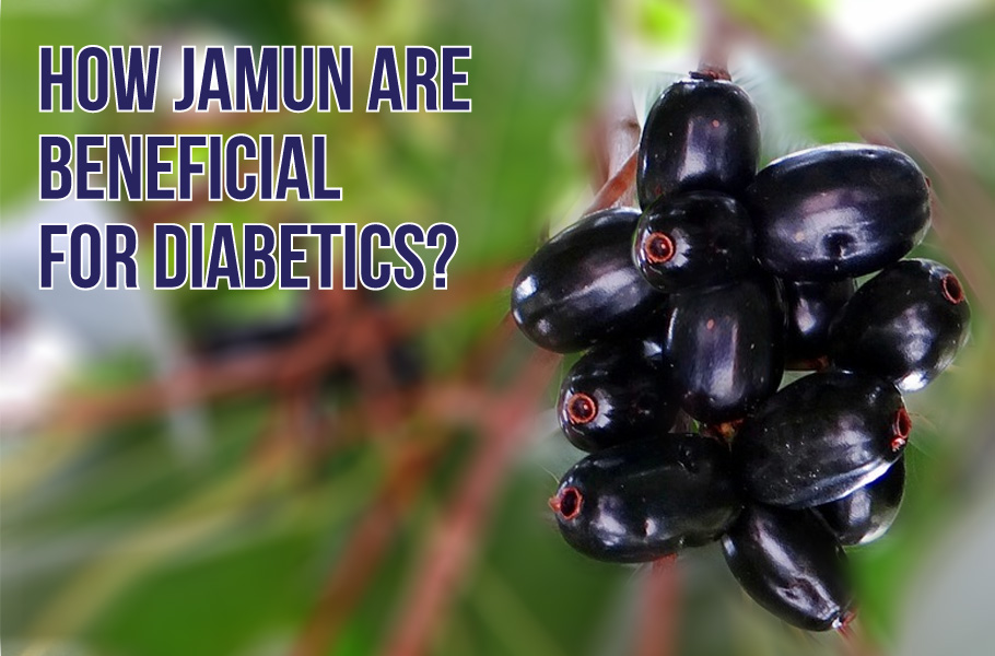 HOW JAMUNS ARE BENEFICIAL FOR DIABETICS? Informative Post