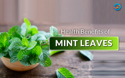 mint leaves and diabetes, Pudina leaves benefits,pudina in english, benefits of mint leaves, mint leaves for diabetes, benefits of mint leaves for diabetes