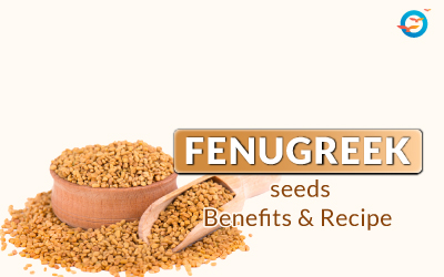 Fenugreek seeds Image - Featured