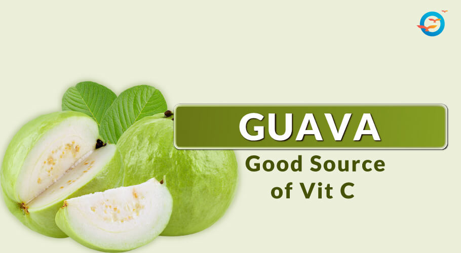 Guava good source of vitamin C