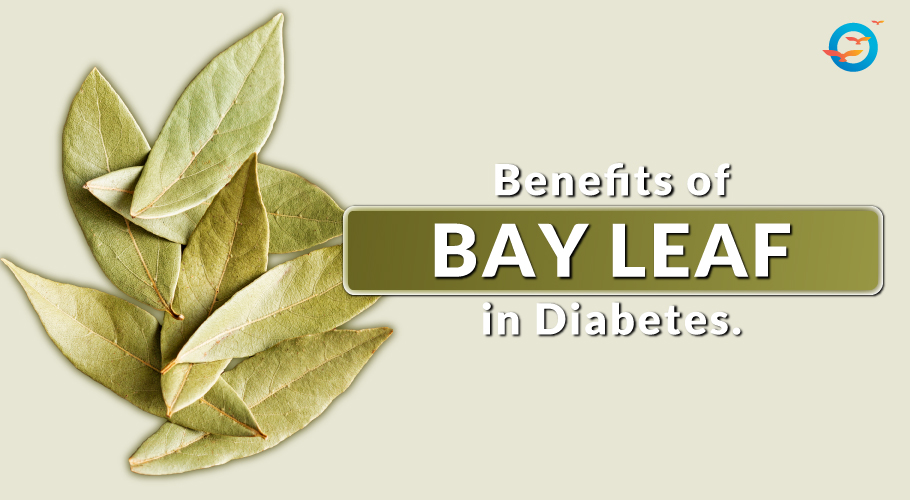 Bay Leaves (Tej Patta) - The Diabetes Friendly Spice!