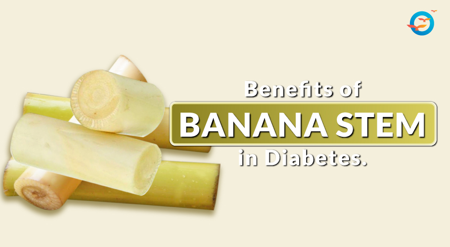 Is Banana stem good for Diabetes? Blog Freedom from Diabtes