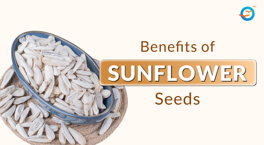 Sunflower Seeds Image - Featured
