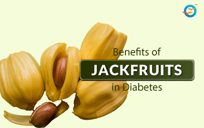 jackfruit seeds benefits
