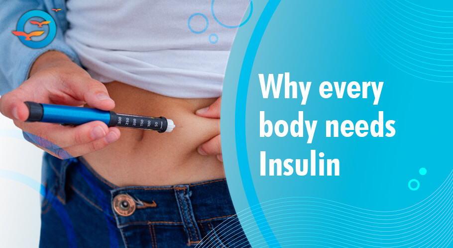 Why Every Body Needs Insulin