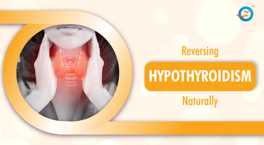 Reversing Hypothyroidism Naturally - Blog - Freedom from Diabtes