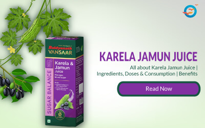 Baidyanath Karela Jamun Juice Benefits