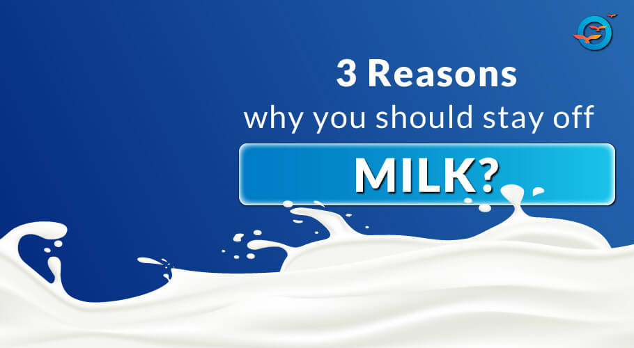 Is Dairy Really Bad for Diabetics? Blog Freedom from Diabetes