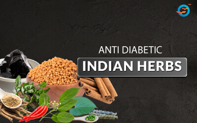 List of anti-Diabetes herbs image