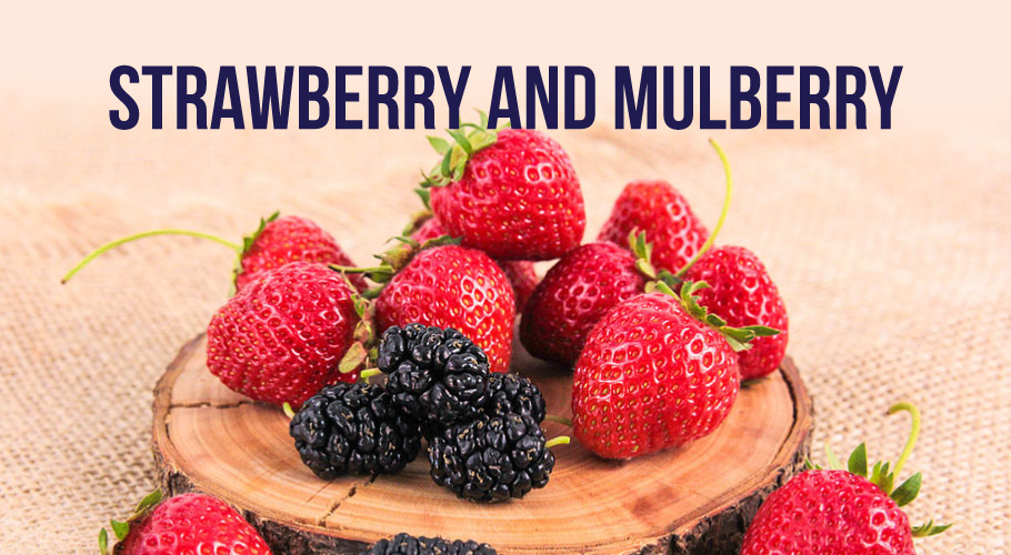 Berries and Diabetes Real Truth