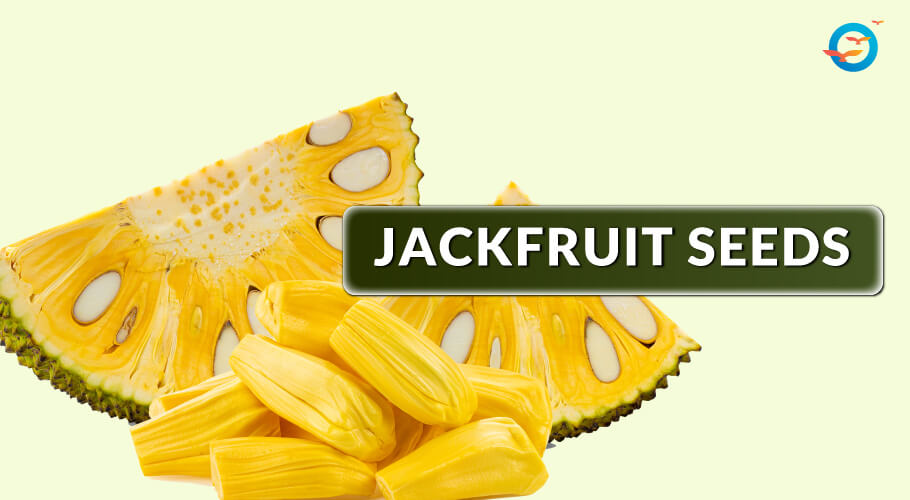 jackfruits seeds