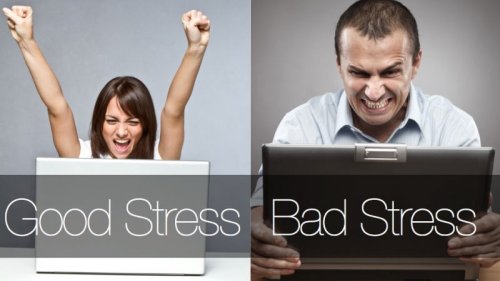 Good stress and bad stress