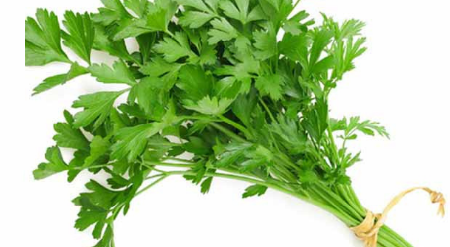  Parsley