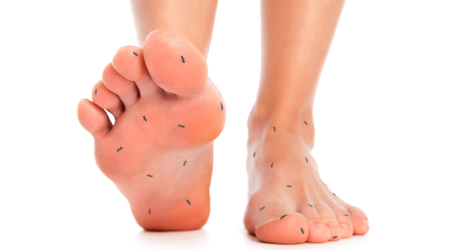 Peripheral Neuropathy