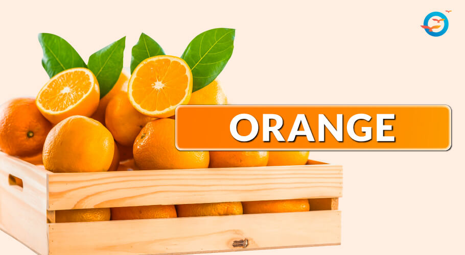 Orange is also another low GI fruit with great nutritional properties. The orange flesh is 12% carbohydrates, 87% water, 1% protein, and contains negligible fat (table). 