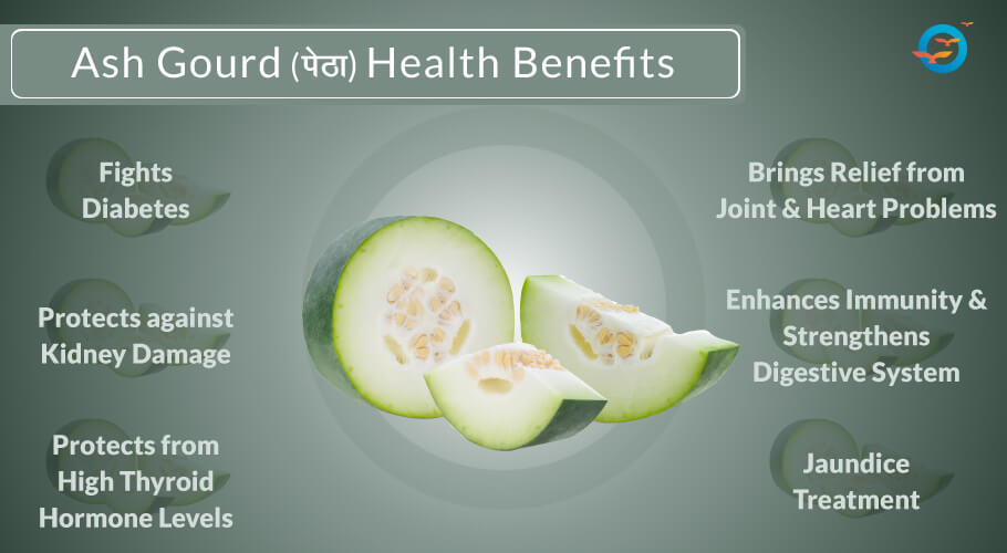 health benefits of Ash gourd