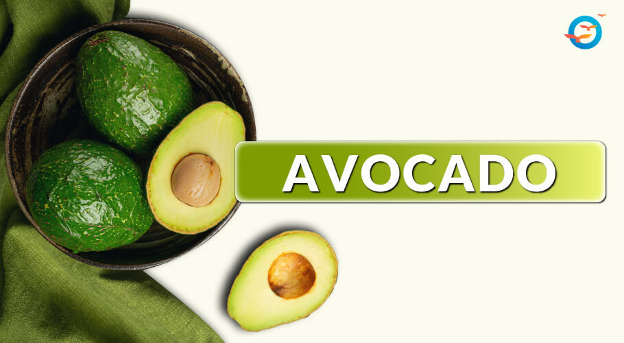 Avocado fruit is unique as it contains a lot of healthy fats as compared to most fruits which consist of carbohydrates. 