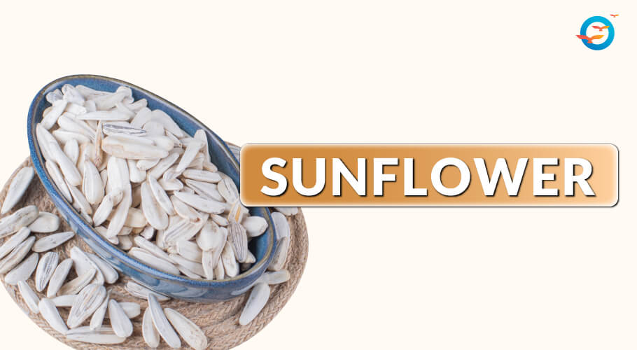 sunflower seeds